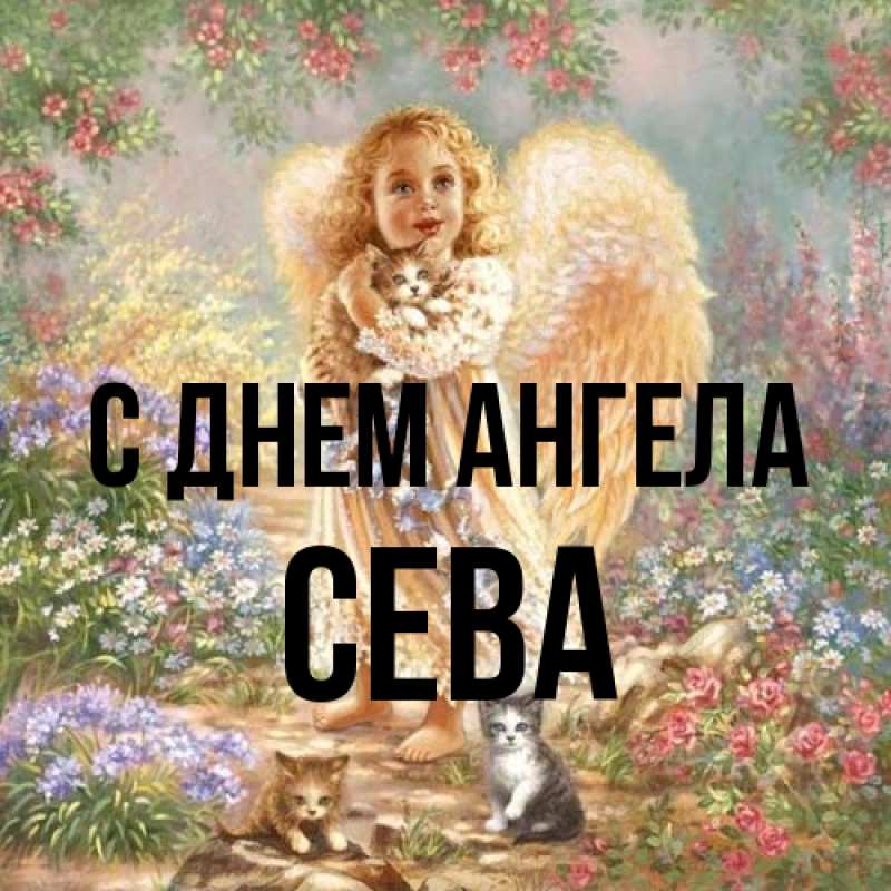 Картинка С днем ангела, Сева