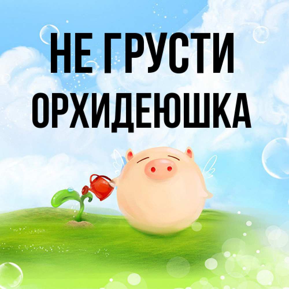 Открытка на каждый день с именем, Орхидеюшка Не грусти поливает цветок порося Прикольная открытка с пожеланием онлайн скачать бесплатно 