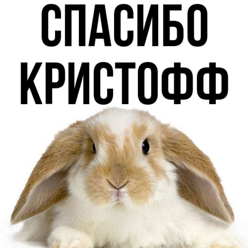 Картинка Спасибо, Кристофф