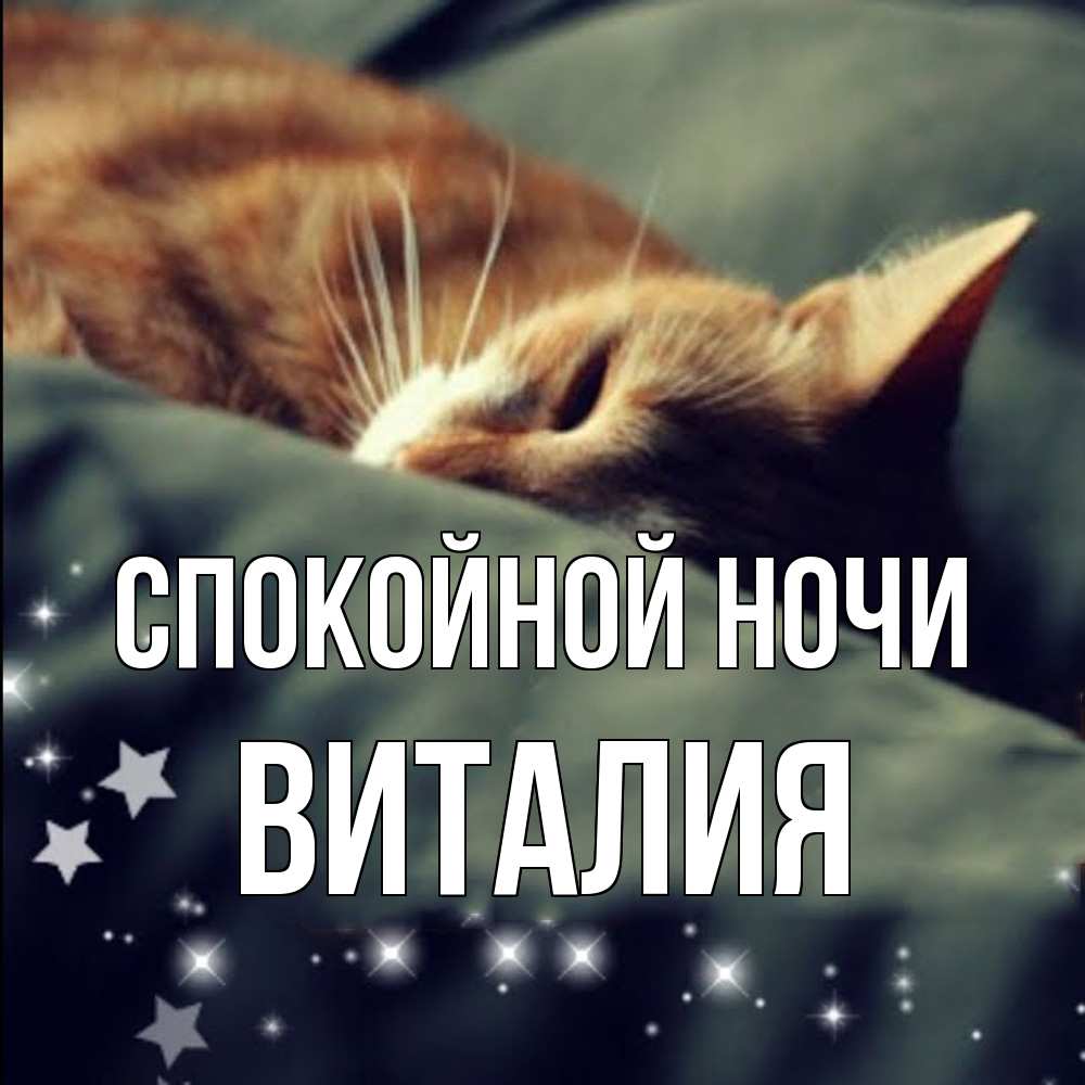 Открытка на каждый день с именем, Виталия Спокойной ночи кроватка Прикольная открытка с пожеланием онлайн скачать бесплатно 