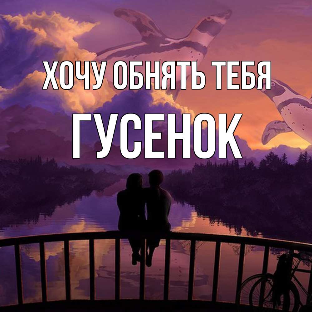 Открытка на каждый день с именем, гусенок Хочу обнять тебя парочка сидит на мосте или на набережной Прикольная открытка с пожеланием онлайн скачать бесплатно 