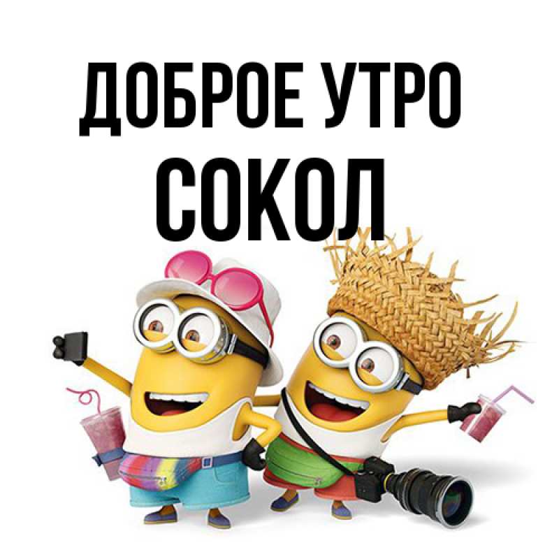 Картинка Доброе утро, Сокол