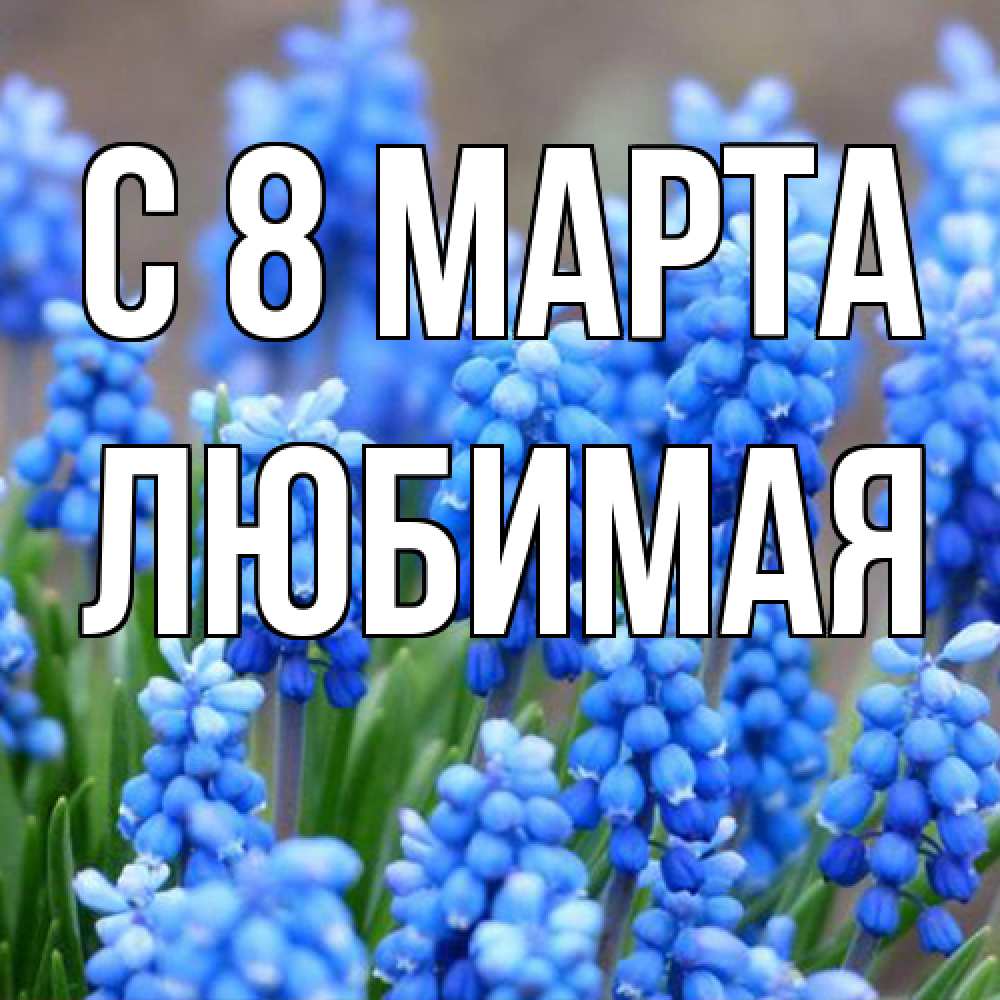 Открытка на каждый день с именем, Любимая C 8 МАРТА Поздравительная открытка для женщин с цветами на праздничную дату Прикольная открытка с пожеланием онлайн скачать бесплатно 