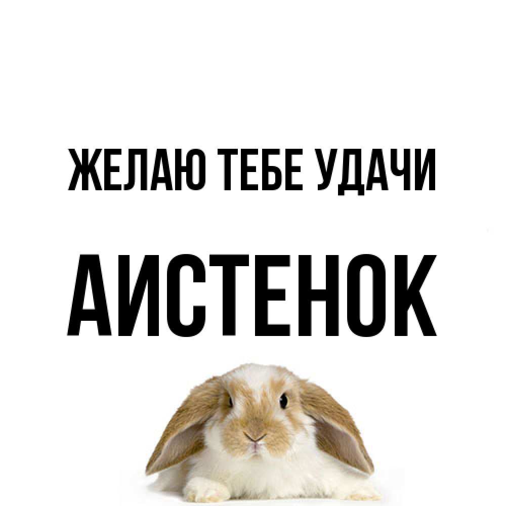 Открытка на каждый день с именем, аистенок Желаю тебе удачи открытки с произвольным текстом который можно вставить в открытку и создать ее самостоятельно бесплатно онлайн Прикольная открытка с пожеланием онлайн скачать бесплатно 