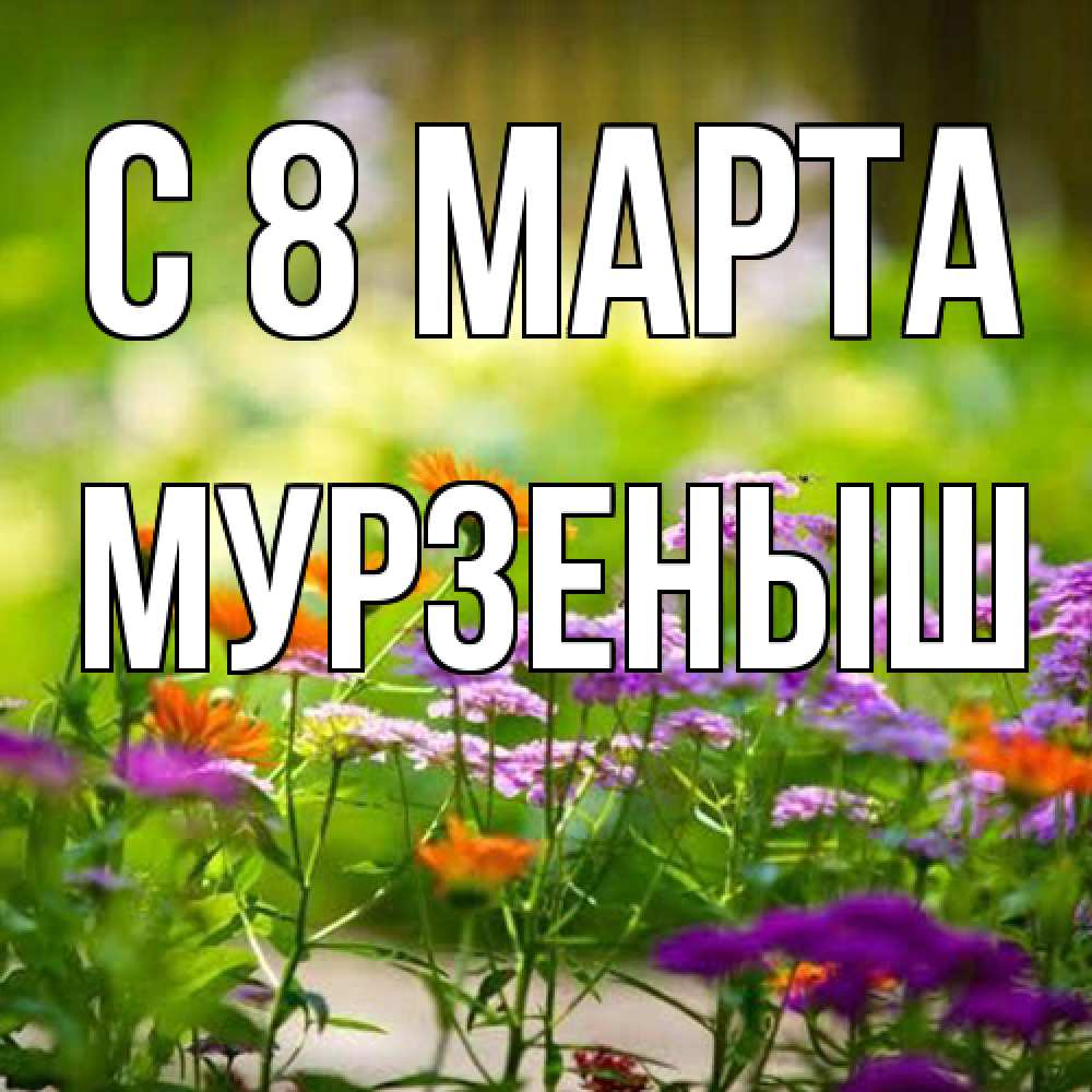 Открытка на каждый день с именем, мурзеныш C 8 МАРТА цветы Прикольная открытка с пожеланием онлайн скачать бесплатно 