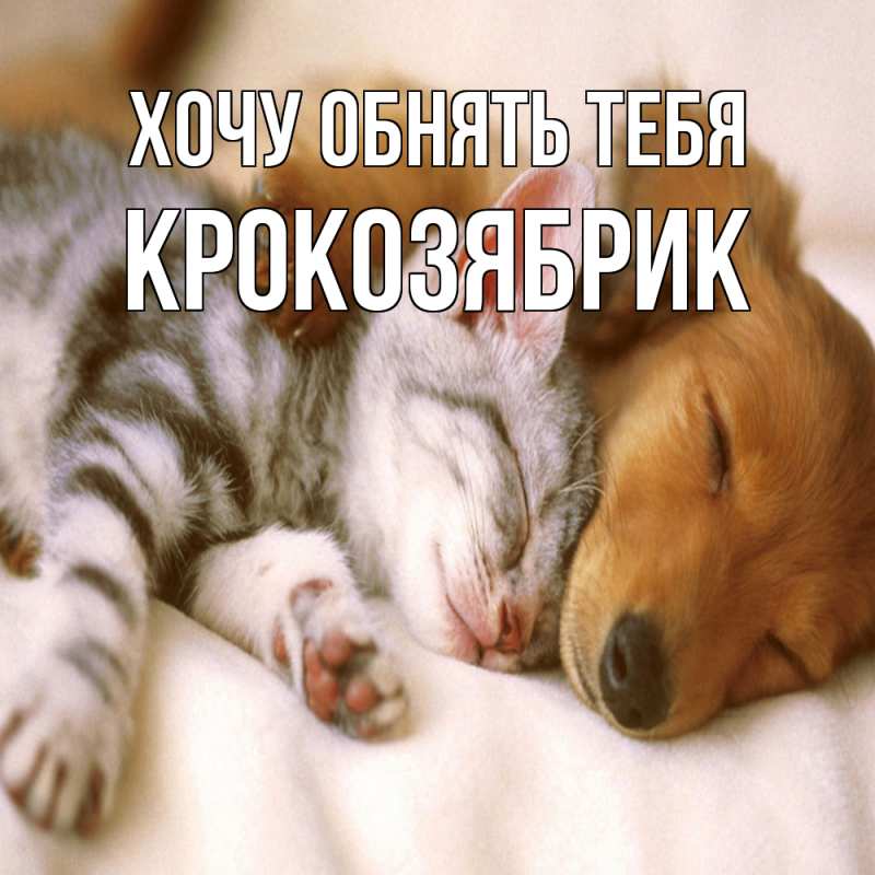 Картинка Хочу обнять тебя, крокозябрик