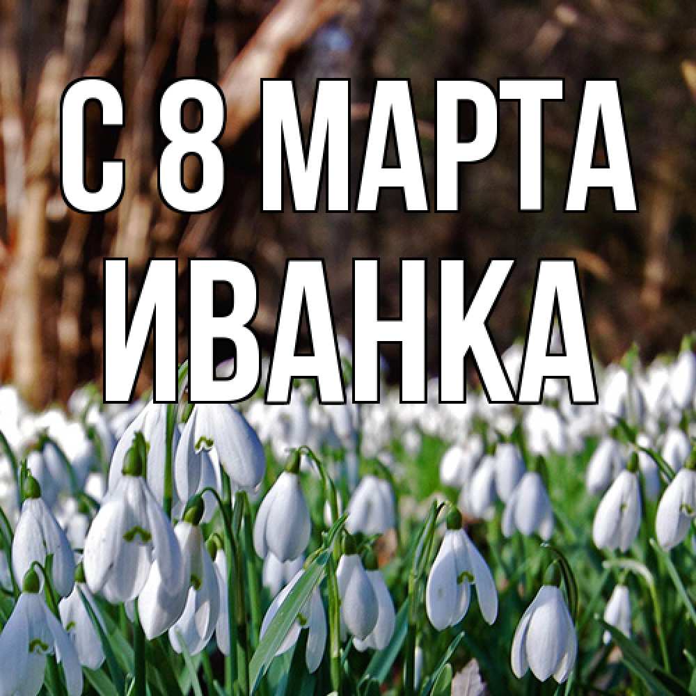 Открытка на каждый день с именем, Иванка C 8 МАРТА с подснежниками 1 Прикольная открытка с пожеланием онлайн скачать бесплатно 
