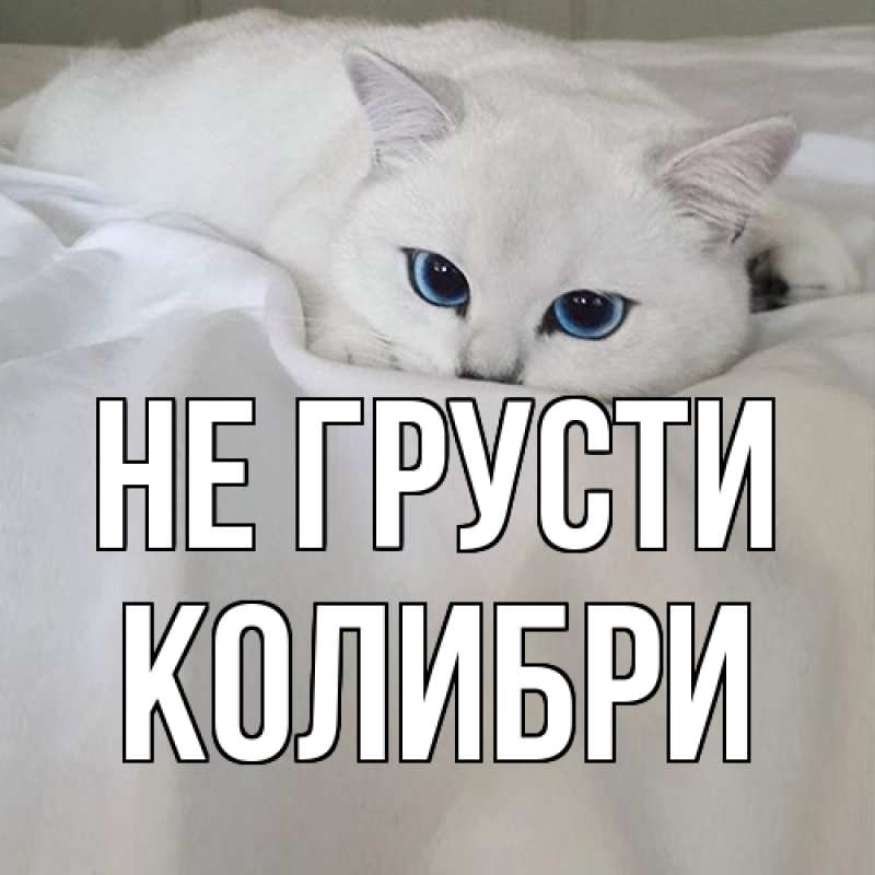 Картинка Не грусти, Колибри