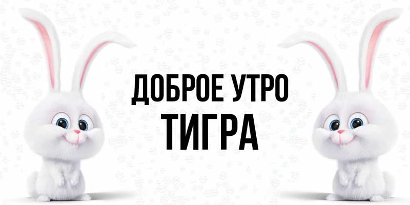 Картинка Доброе утро, Тигpа
