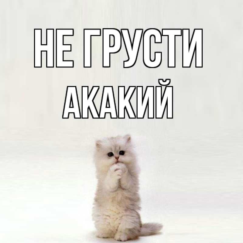 Картинка Не грусти, Акакий