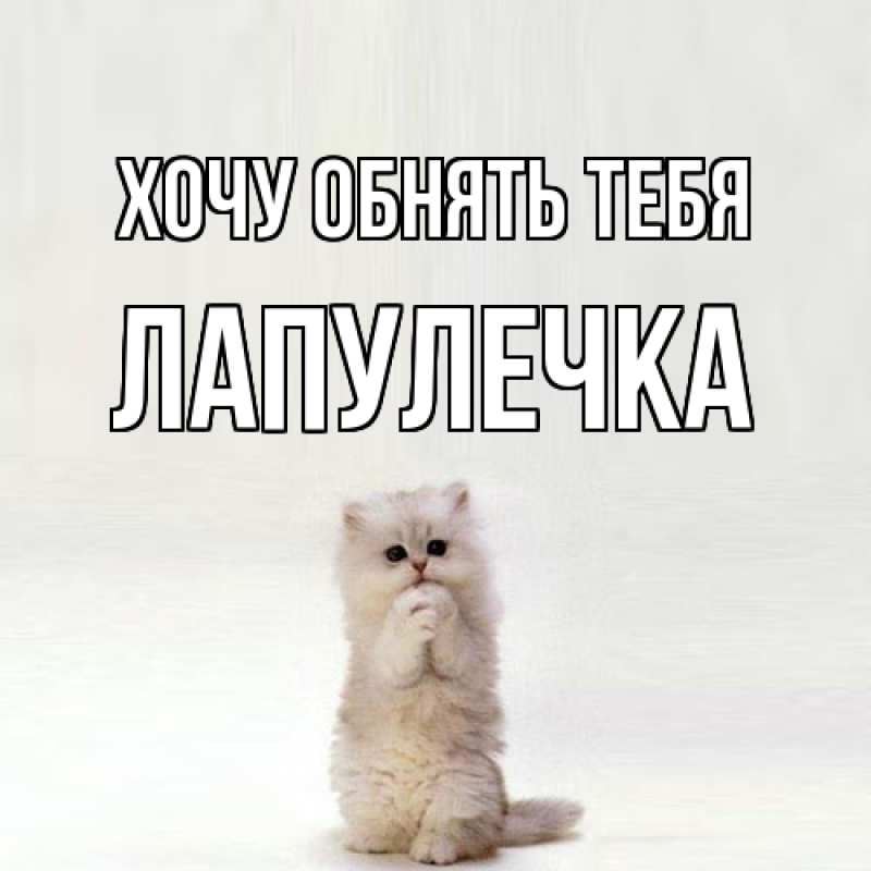 Картинка Хочу обнять тебя, Лапулечка