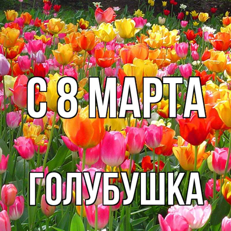 Картинка C 8 МАРТА, Голубушка