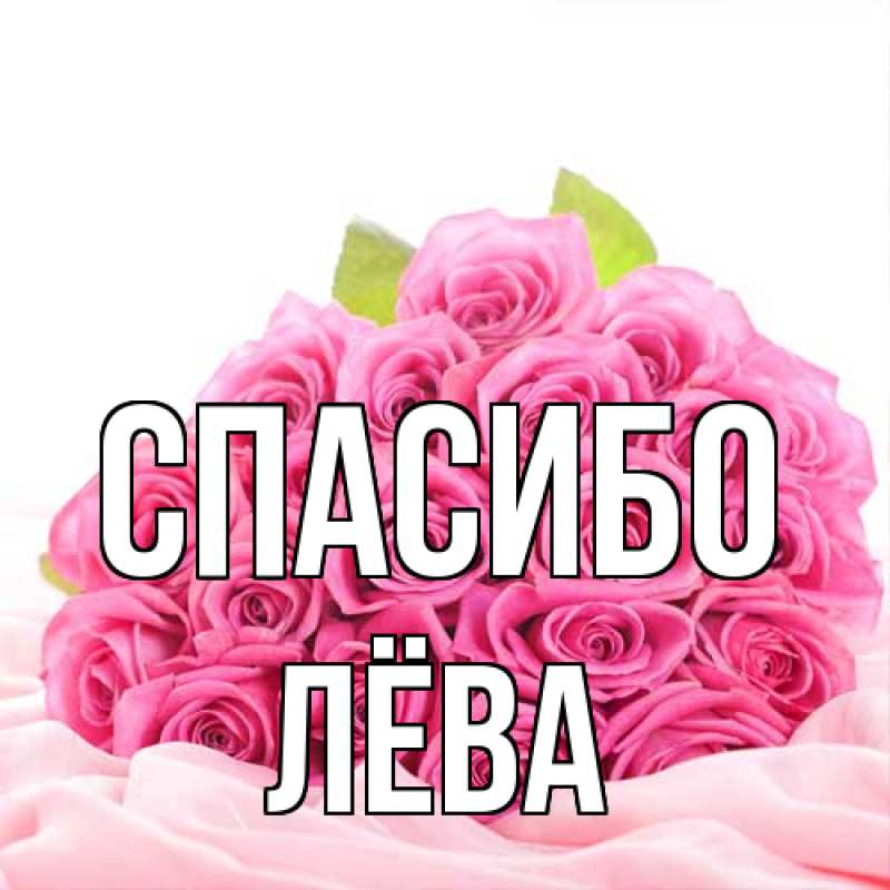 Картинка Спасибо, Лёва