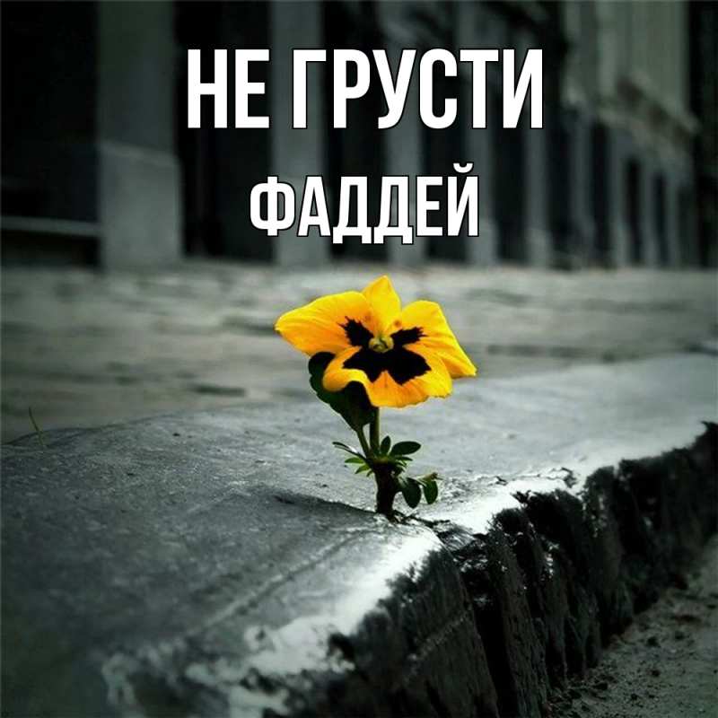 Картинка Не грусти, Фаддей