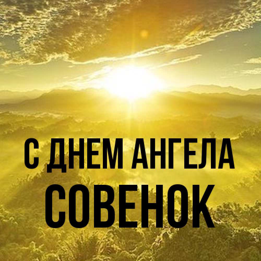 Открытка на каждый день с именем, совенок С днем ангела леса и небо в желтом Прикольная открытка с пожеланием онлайн скачать бесплатно 