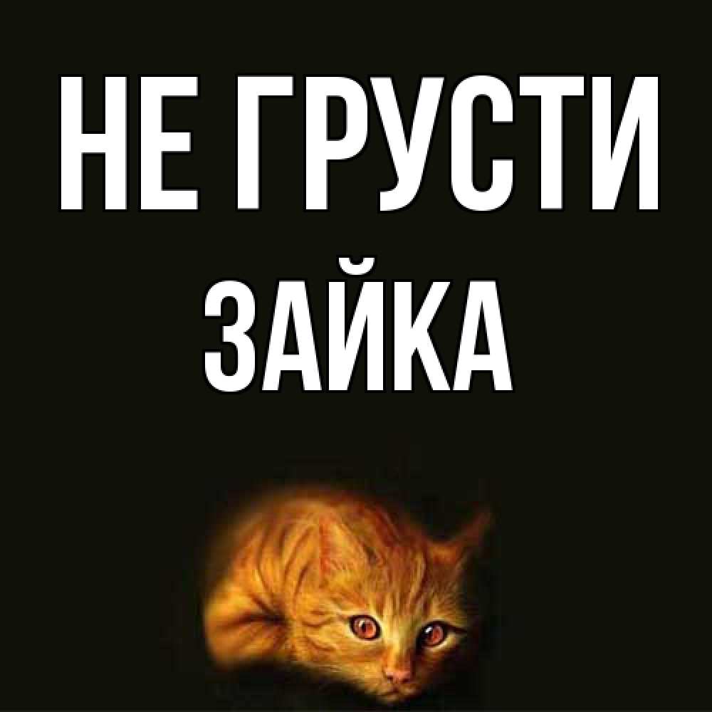 Открытка на каждый день с именем, Зайка Не грусти лежащий кот в темноте Прикольная открытка с пожеланием онлайн скачать бесплатно 