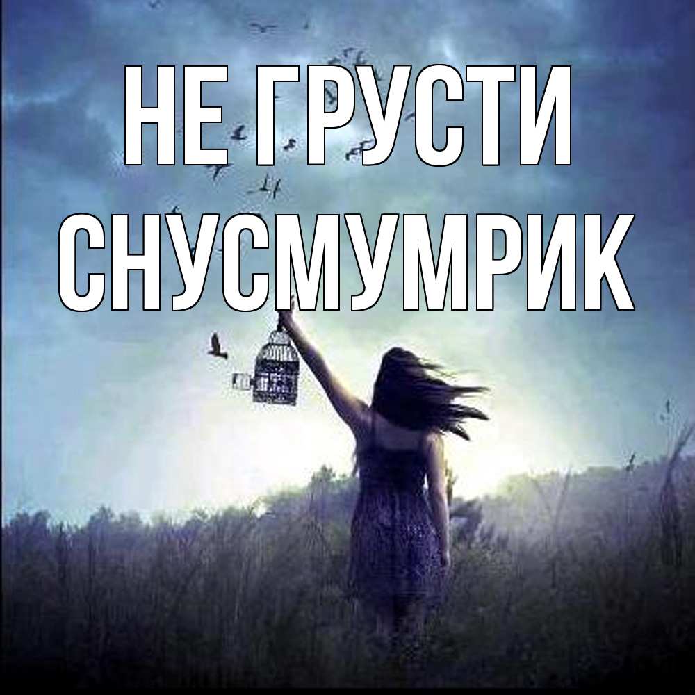 Открытка на каждый день с именем, Снусмумрик Не грусти на волю Прикольная открытка с пожеланием онлайн скачать бесплатно 