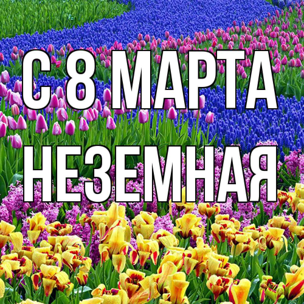 Открытка на каждый день с именем, неземная C 8 МАРТА цветы Прикольная открытка с пожеланием онлайн скачать бесплатно 