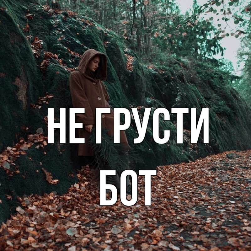 Картинка Не грусти, Бот
