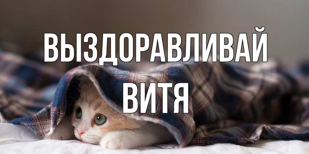 Открытка на каждый день с именем, Витя Выздоравливай не болейте с котиком Прикольная открытка с пожеланием онлайн скачать бесплатно 