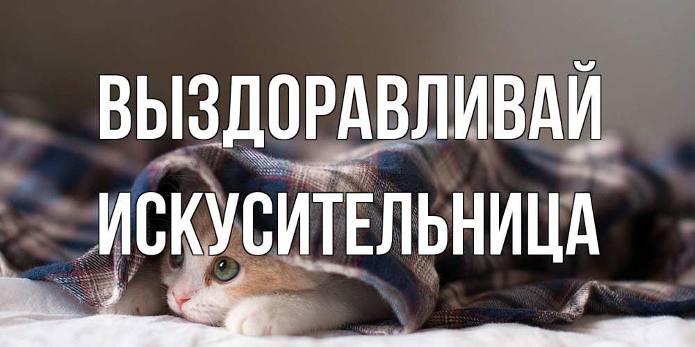Открытка на каждый день с именем, Искусительница Выздоравливай не болейте с котиком Прикольная открытка с пожеланием онлайн скачать бесплатно 