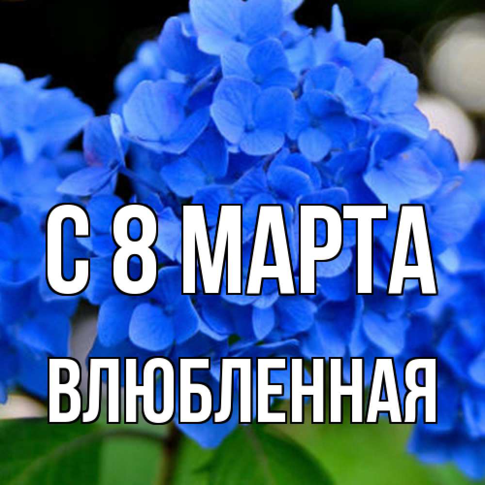 Открытка на каждый день с именем, Влюбленная C 8 МАРТА синие цветы Прикольная открытка с пожеланием онлайн скачать бесплатно 