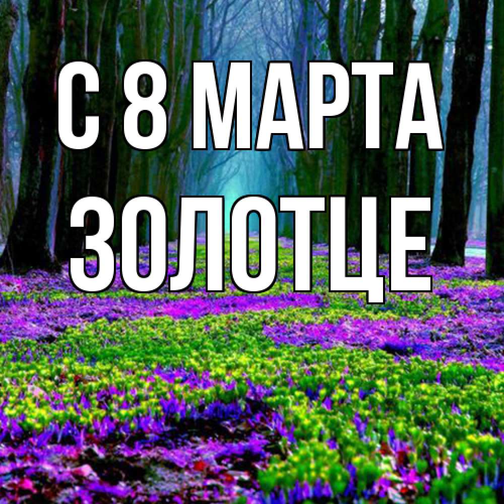 Открытка на каждый день с именем, Золотце C 8 МАРТА фиолетовые цветы в лесу 1 Прикольная открытка с пожеланием онлайн скачать бесплатно 