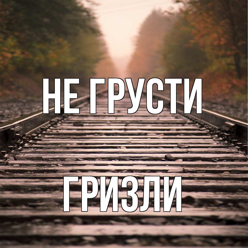 Открытка на каждый день с именем, Гризли Не грусти лес и железная дорога Прикольная открытка с пожеланием онлайн скачать бесплатно 