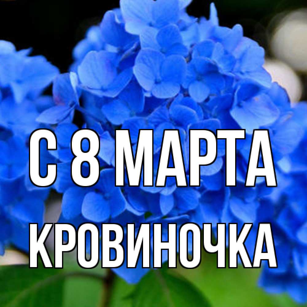 Открытка на каждый день с именем, кровиночка C 8 МАРТА синие цветы Прикольная открытка с пожеланием онлайн скачать бесплатно 