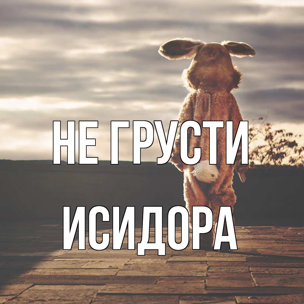 Открытка на каждый день с именем, Исидора Не грусти со спины Прикольная открытка с пожеланием онлайн скачать бесплатно 