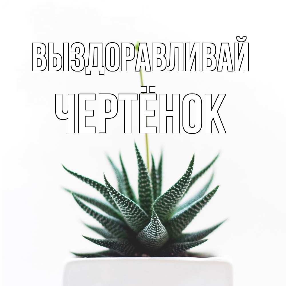 Открытка на каждый день с именем, Чертёнок Выздоравливай короче это непонятная колючка Прикольная открытка с пожеланием онлайн скачать бесплатно 