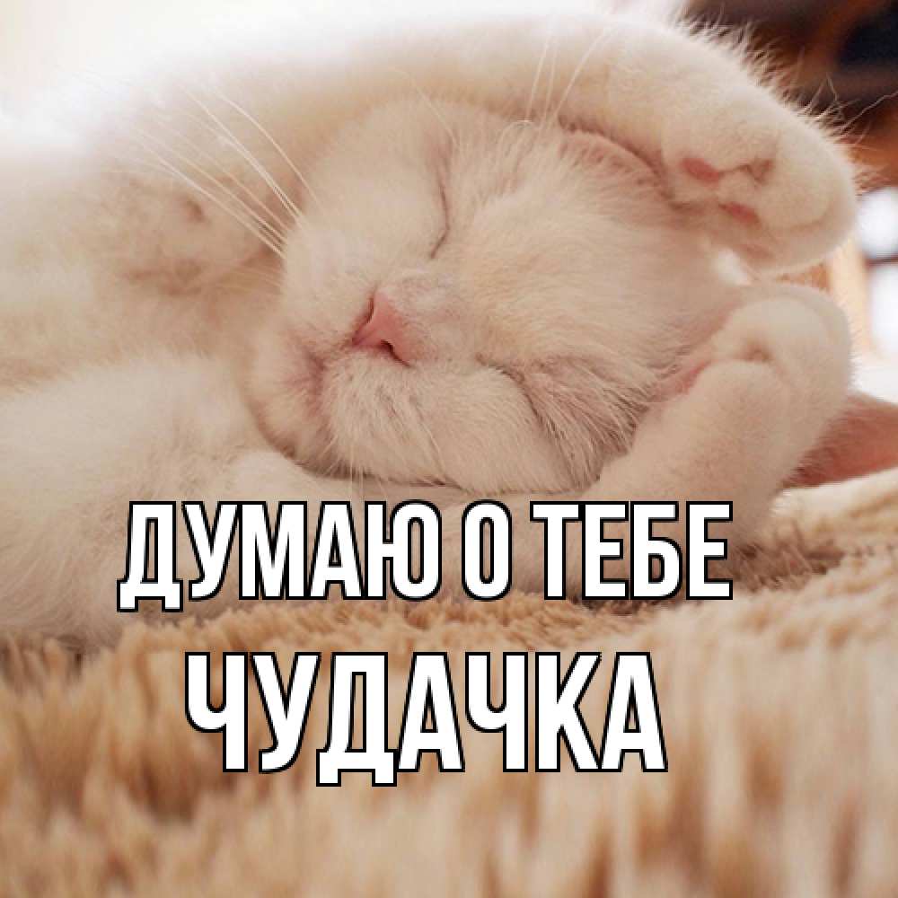 Открытка на каждый день с именем, Чудачка Думаю о тебе для любимой девушки милота Прикольная открытка с пожеланием онлайн скачать бесплатно 