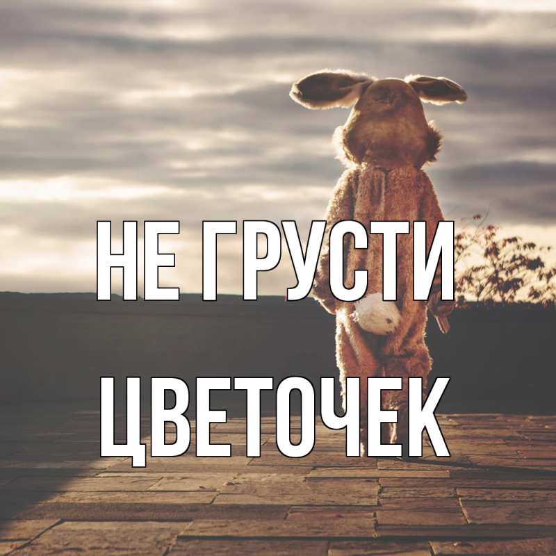 Картинка Не грусти, Цветочек