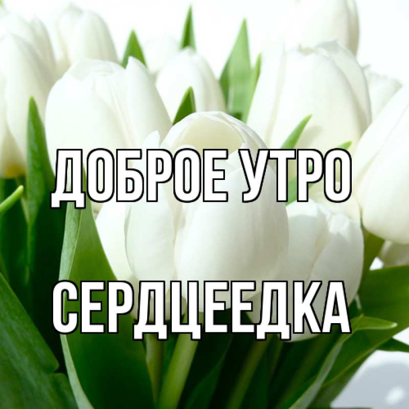 Картинка Доброе утро, сердцеедка