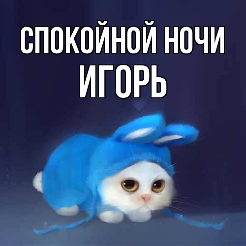 Открытка на каждый день с именем, Игорь Спокойной ночи кот в голубом костюме кролика с ушками Прикольная открытка с пожеланием онлайн скачать бесплатно 