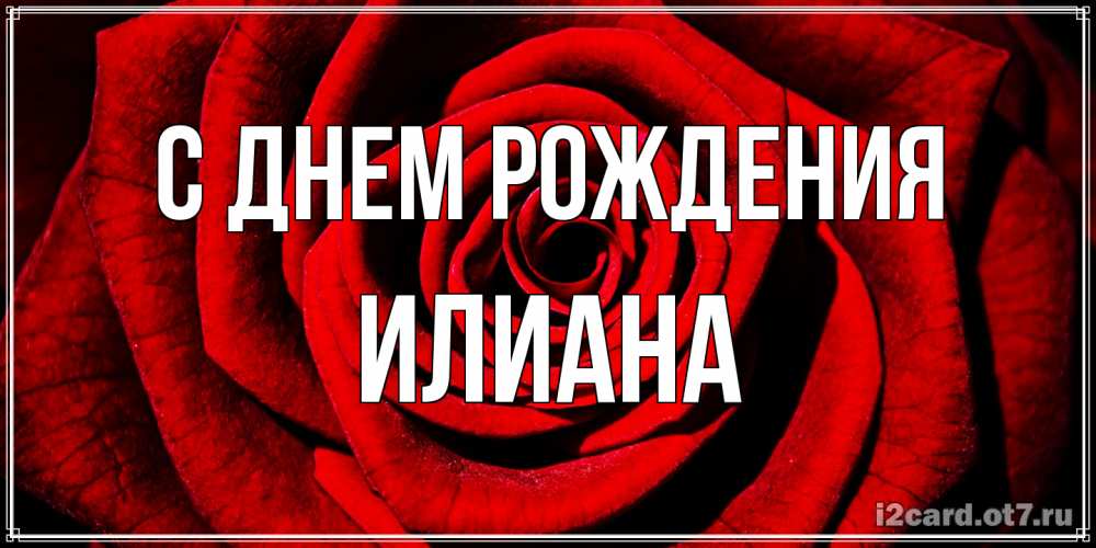 Открытка на каждый день с именем, Илиана С днем рождения алая роза Прикольная открытка с пожеланием онлайн скачать бесплатно 