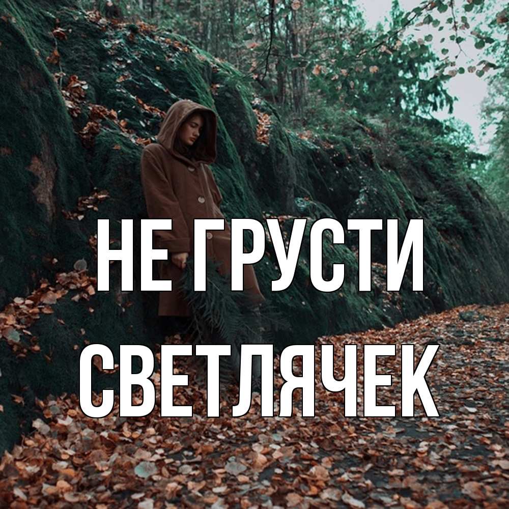 Открытка на каждый день с именем, Светлячек Не грусти осенний лес Прикольная открытка с пожеланием онлайн скачать бесплатно 