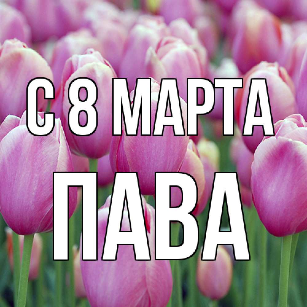 Открытка на каждый день с именем, пава C 8 МАРТА на международный женский день 3 Прикольная открытка с пожеланием онлайн скачать бесплатно 
