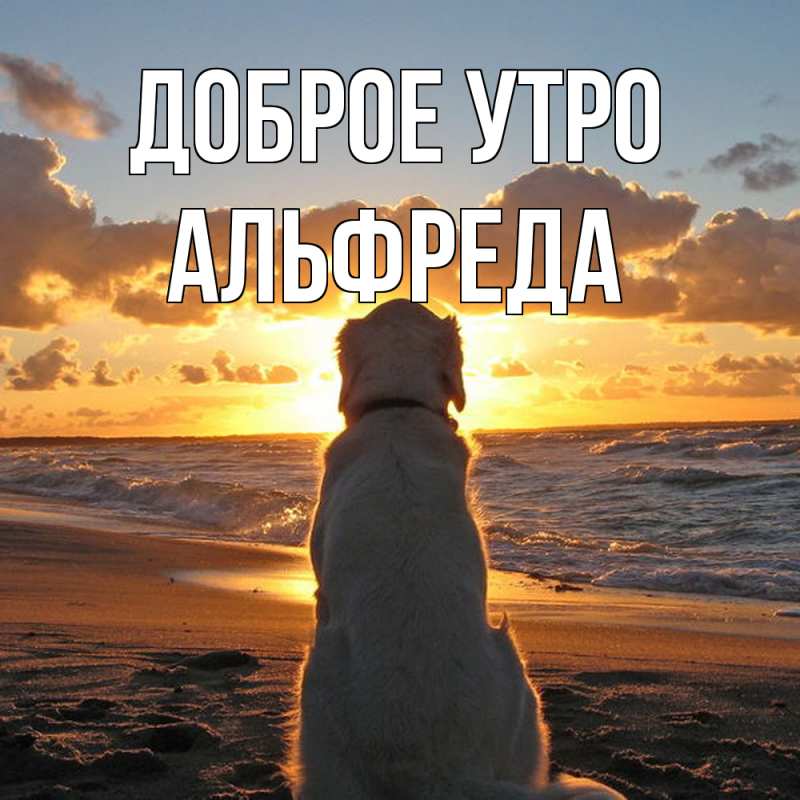 Картинка Доброе утро, Альфреда