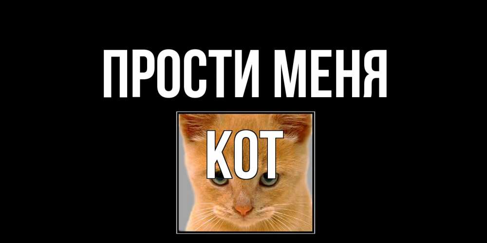 Открытка на каждый день с именем, Кот Прости меня рыжий грустный кот просит прощения Прикольная открытка с пожеланием онлайн скачать бесплатно 