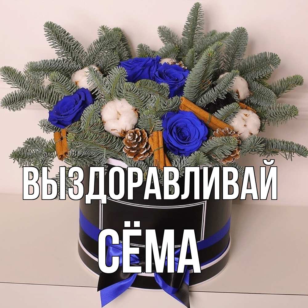 Открытка на каждый день с именем, Сёма Выздоравливай короче кто то загрузил эти шишки Прикольная открытка с пожеланием онлайн скачать бесплатно 