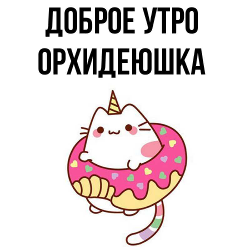 Картинка Доброе утро, Орхидеюшка