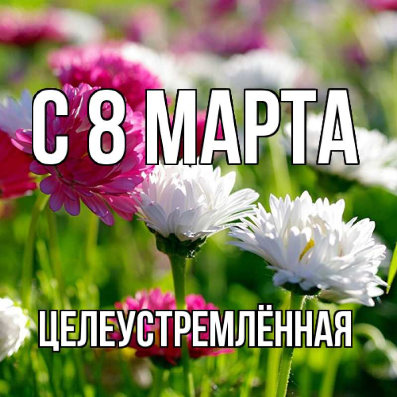 Картинка C 8 МАРТА, Целеустремлённая