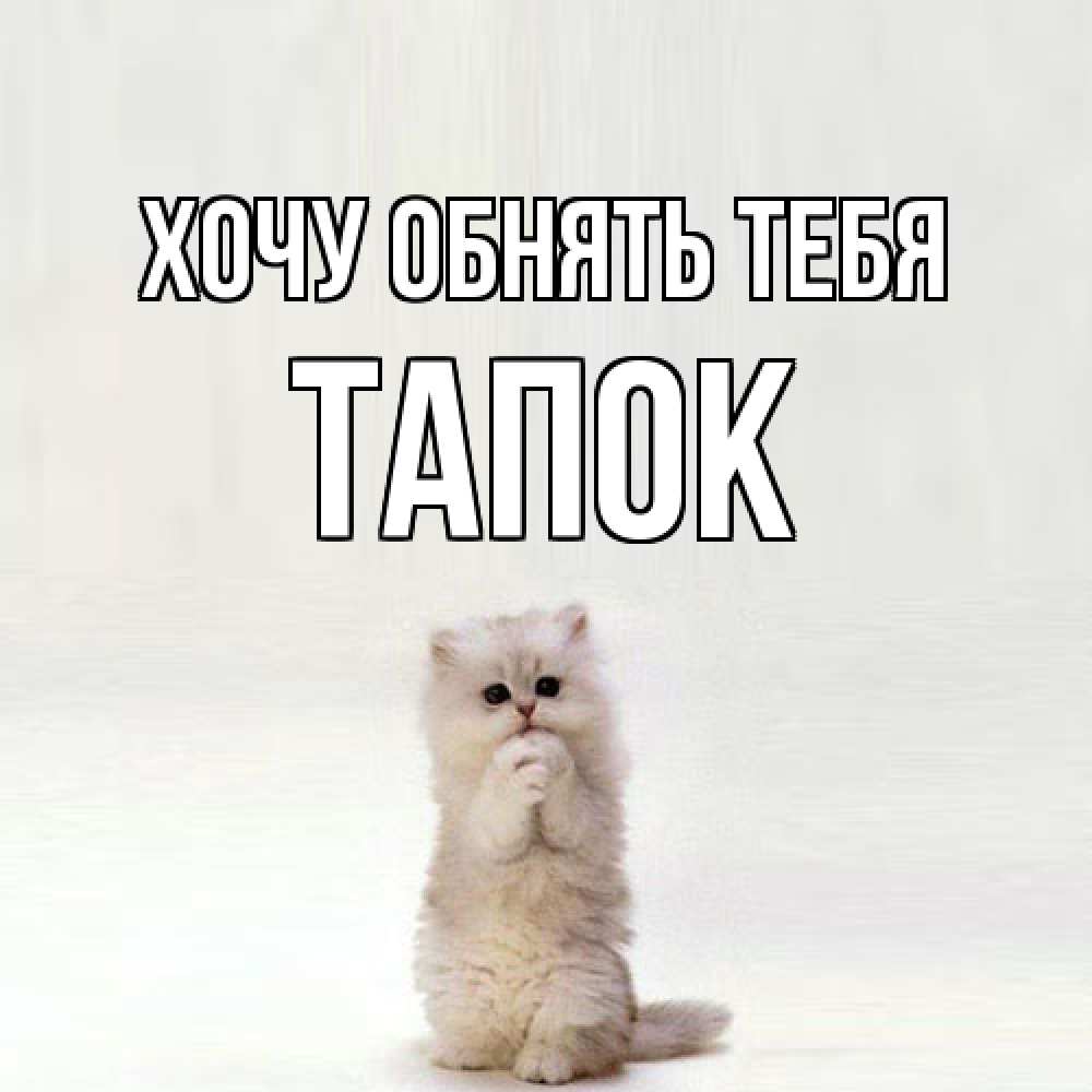 Открытка на каждый день с именем, Тапок Хочу обнять тебя открытки с креативными подписями Прикольная открытка с пожеланием онлайн скачать бесплатно 