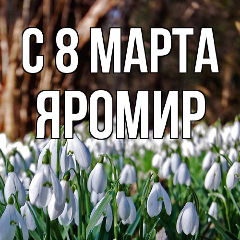 Картинка C 8 МАРТА, Яромир