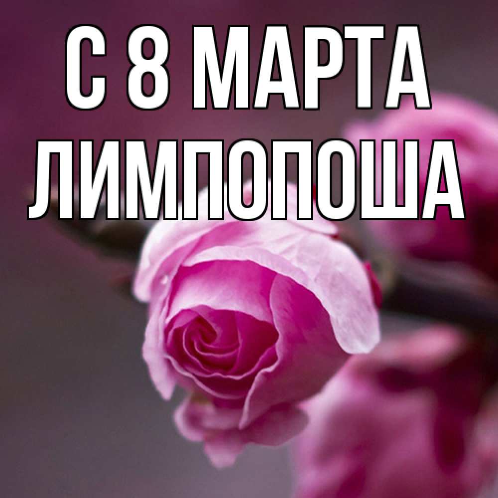 Открытка на каждый день с именем, лимпопоша C 8 МАРТА весна Прикольная открытка с пожеланием онлайн скачать бесплатно 