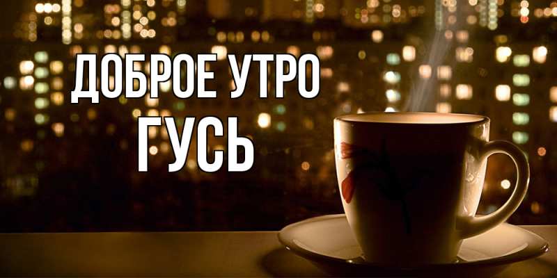 Картинка Доброе утро, Гусь
