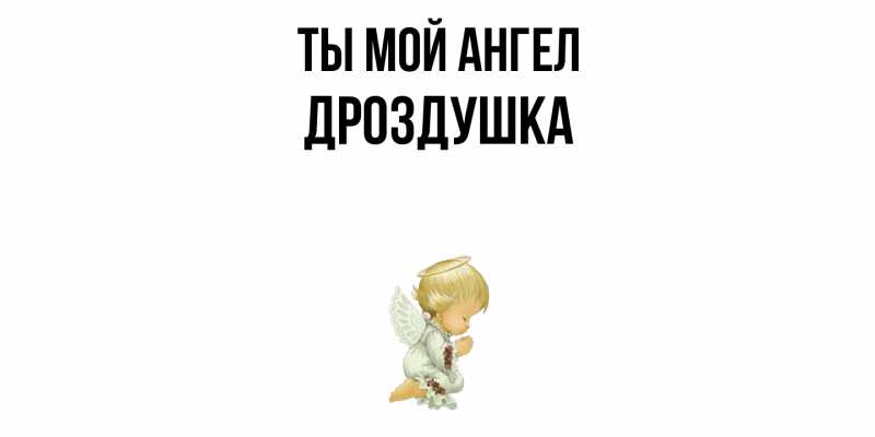 Картинка Ты мой ангел, Дроздушка