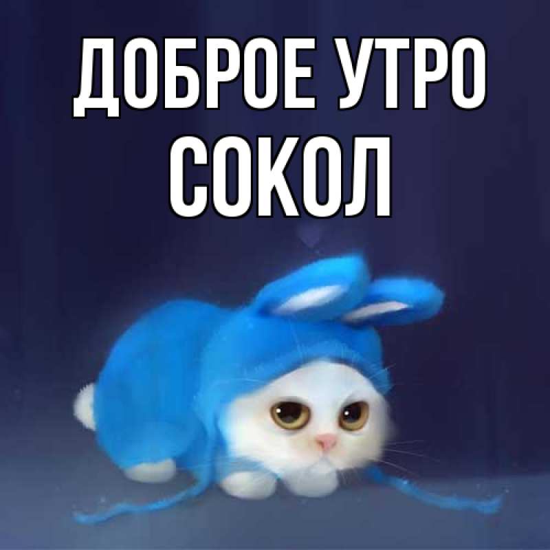 Картинка Доброе утро, Сокол
