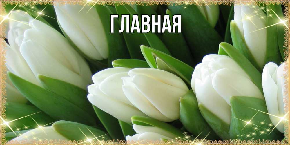 Открытка на каждый день с именем, настя Главная поздравляем с 8 марта Прикольная открытка с пожеланием онлайн скачать бесплатно 